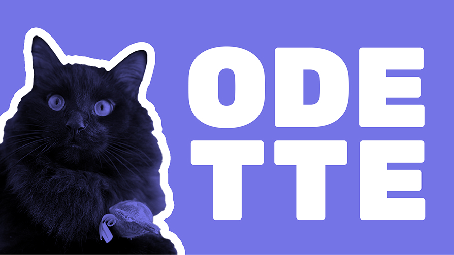 Cut-out portrait of Odette, a long-haired black cat holding a small toy, beside her name set in large type.